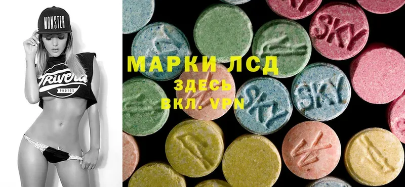 купить наркоту  Каменка  LSD-25 экстази ecstasy 