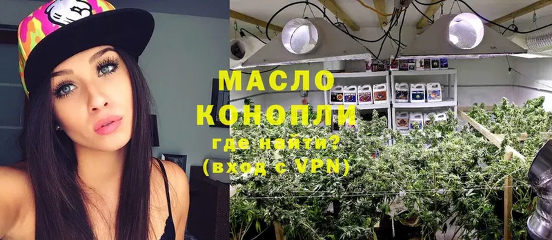 как найти закладки  Каменка  ТГК THC oil 